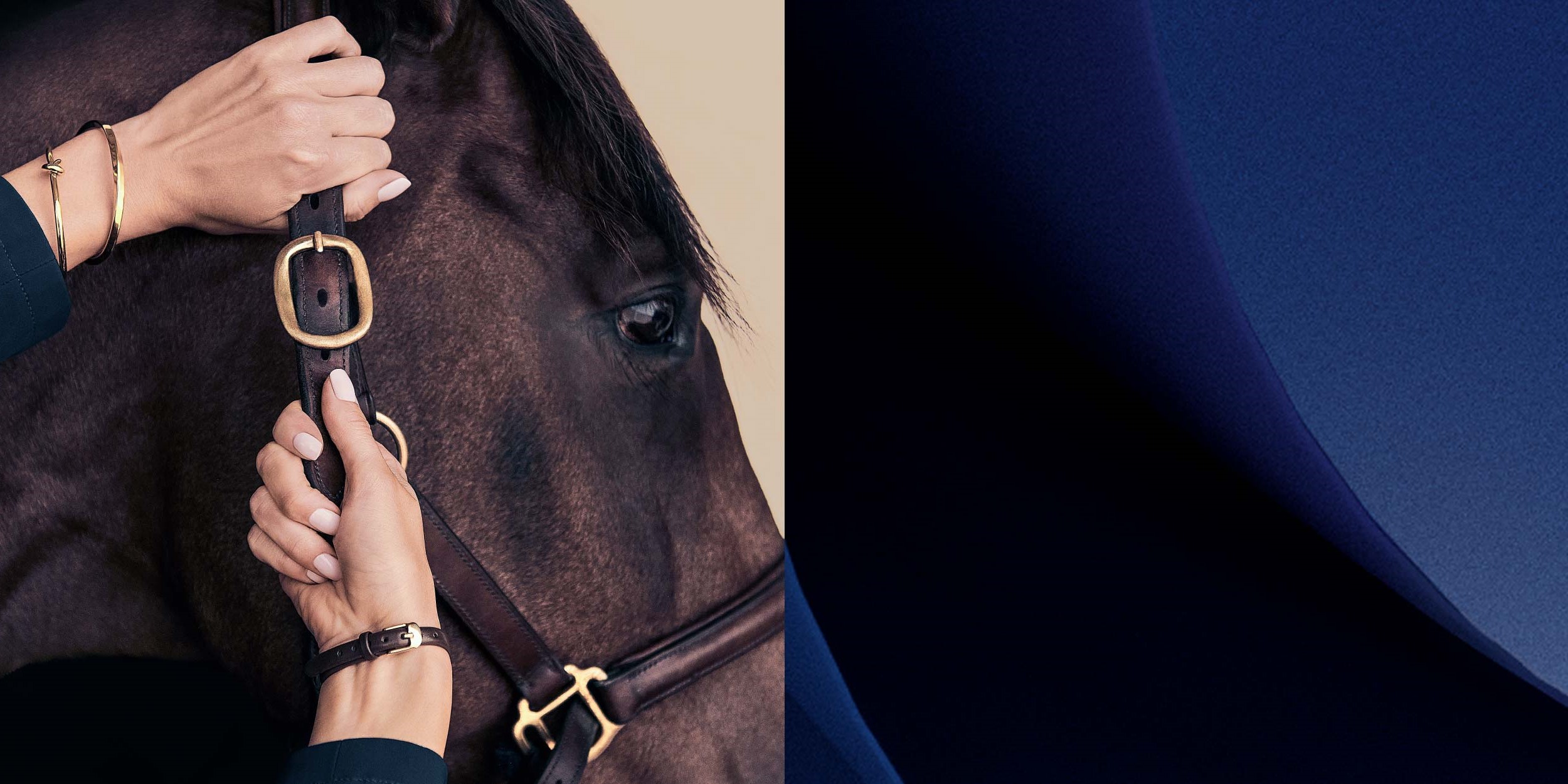  ثِق في خطوتك القادمة