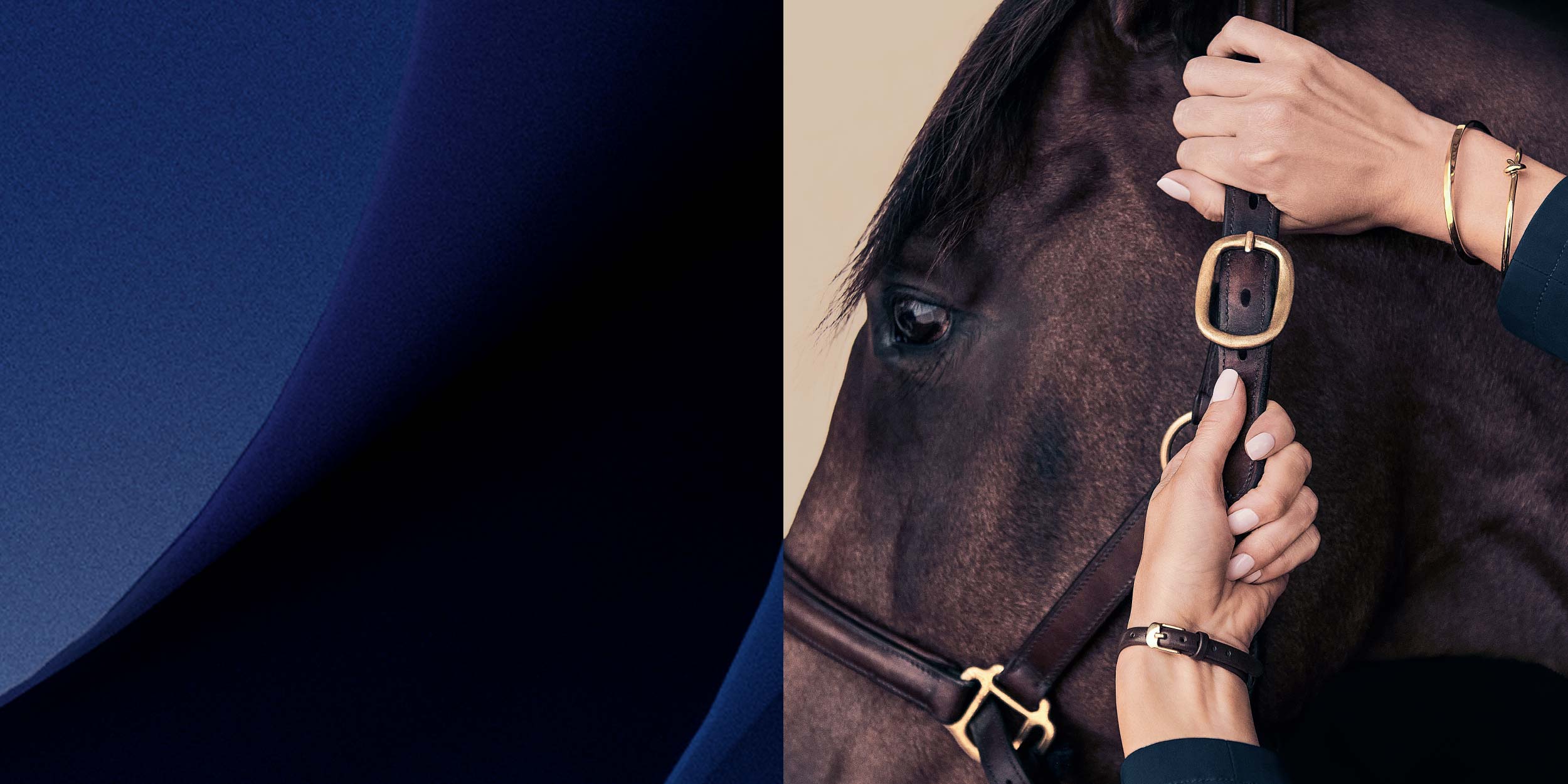 BELIEVE IN YOUR NEXT